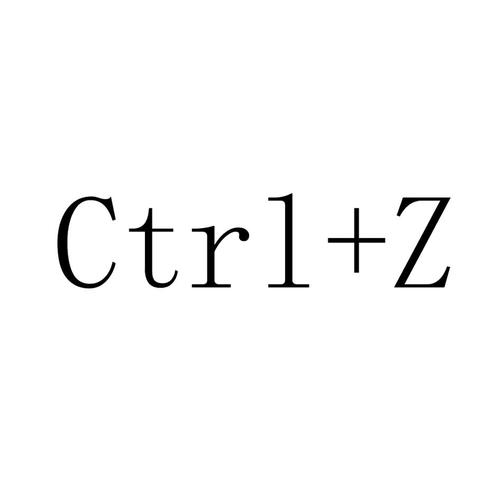<em>ctrl+ z</em>是什么意思?的相关图片